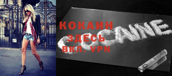 спиды Лиски