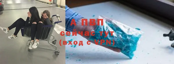 амф Липки