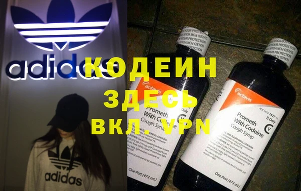 амф Липки