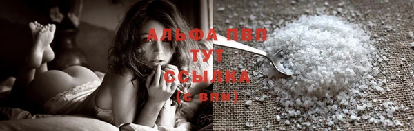 стаф Валдай