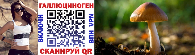 Галлюциногенные грибы Magic Shrooms  Купить закладки  Кинель 